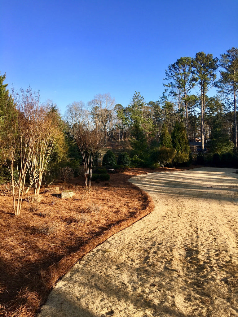 Premium Pine Straw | 300 Sqft. | 9 or 14 Inch | New Bigger Size
