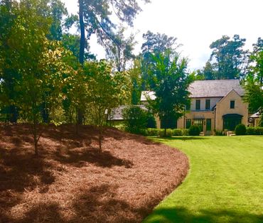 Premium Pine Straw | 300 Sqft. | 9 or 14 Inch | New Bigger Size