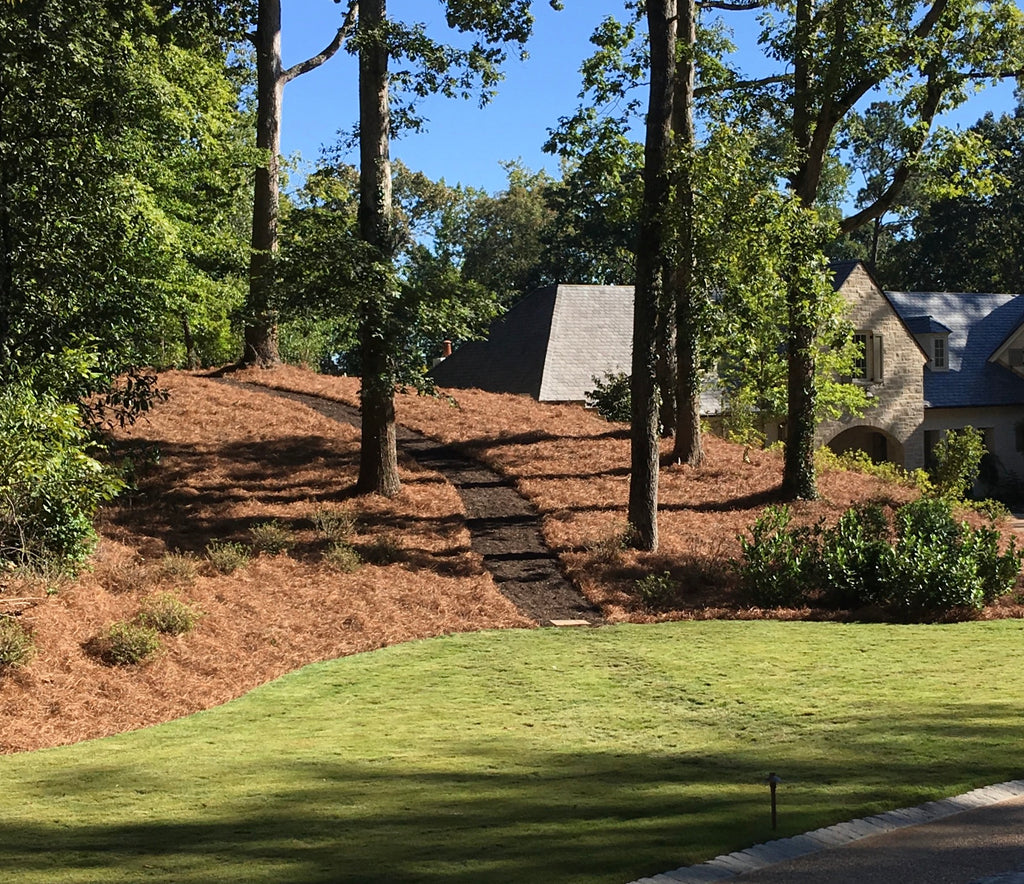 Premium Pine Straw | 9 and 14 inch | Covers 2400 Sqft.