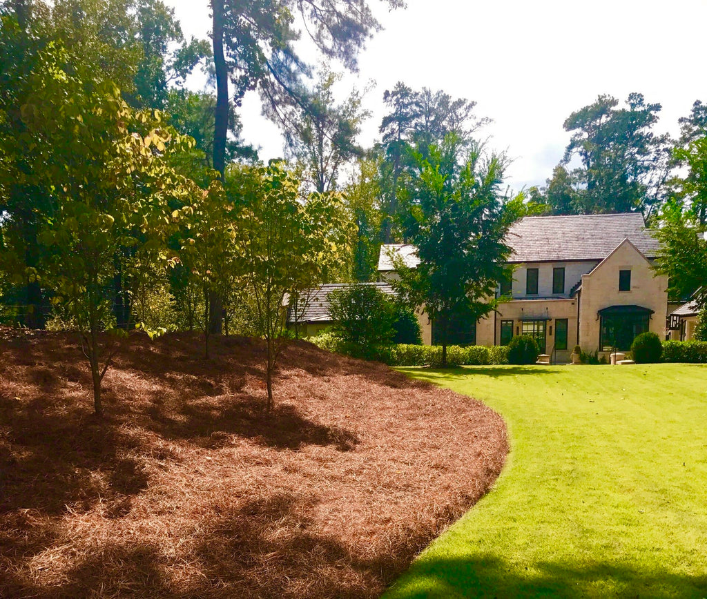 Premium Pine Straw | 9 or 14 Inch | Covers 240 Sqft.