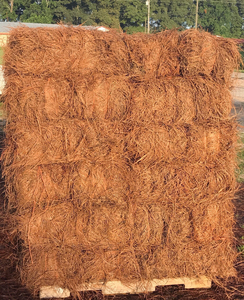 Premium Pine Straw | 9 and 14 inch | Covers 3200 Sqft. – USA Pinestraw ...