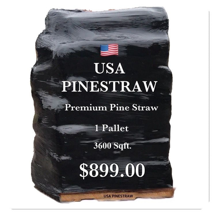 Premium Pine Straw | 9 and 14 Inch | Covers up to 3600 Sqft.